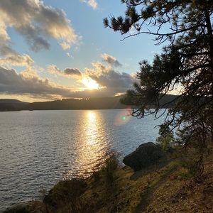 Meet your Posher, Sunny